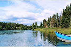 Responsive image