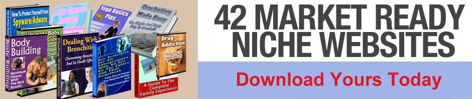 42 Niche Header