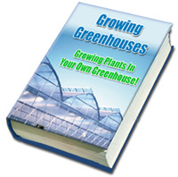 Green House